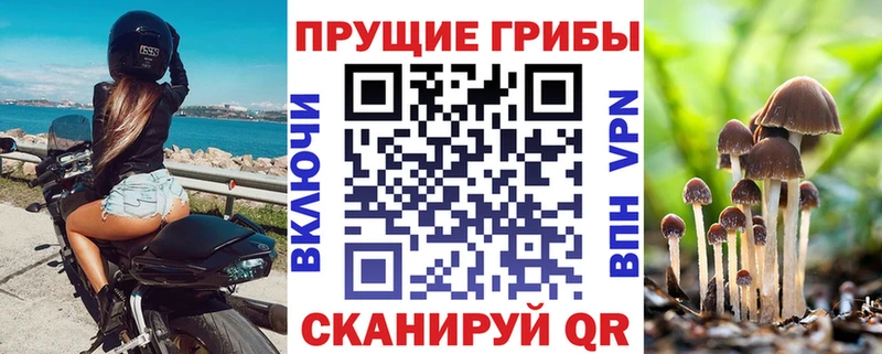 Псилоцибиновые грибы Magic Shrooms  наркота  Завитинск 
